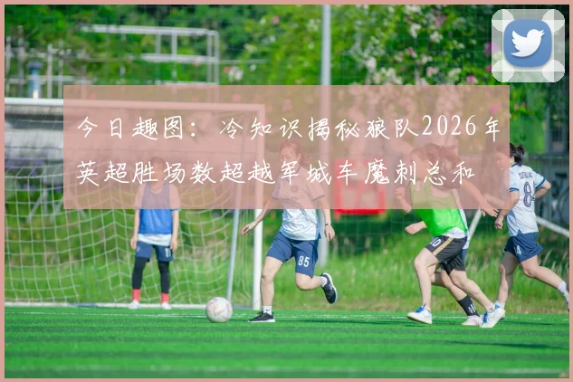 今日趣图：冷知识揭秘狼队2026年英超胜场数超越军城车魔刺总和