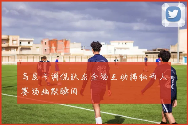 乌度卡调侃狄龙全场互动揭秘两人赛场幽默瞬间