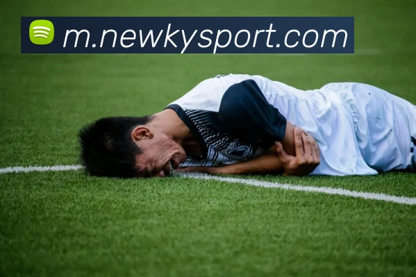 开云足球APP 封面图